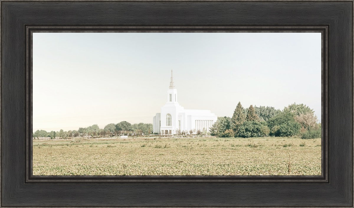 Burley Idaho Immaculate Embrace Blue