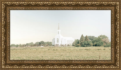 Burley Idaho Immaculate Embrace Blue