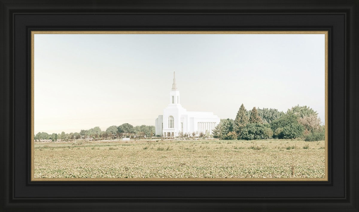 Burley Idaho Immaculate Embrace Blue