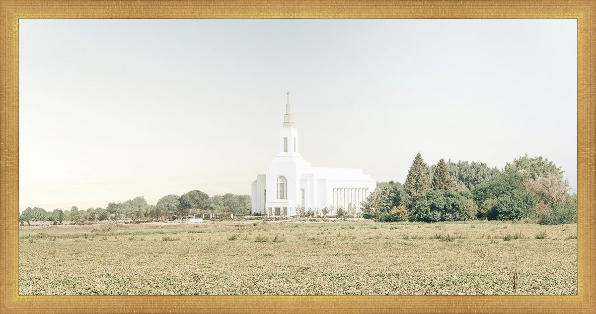 Burley Idaho Immaculate Embrace Blue