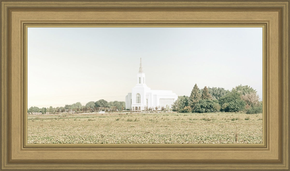 Burley Idaho Immaculate Embrace Blue
