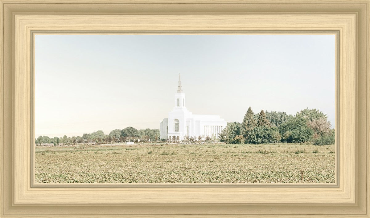 Burley Idaho Immaculate Embrace Blue