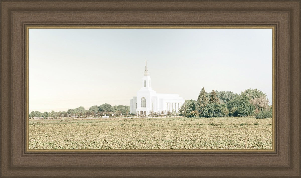 Burley Idaho Immaculate Embrace Blue
