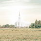 Burley Idaho Immaculate Embrace Pastel