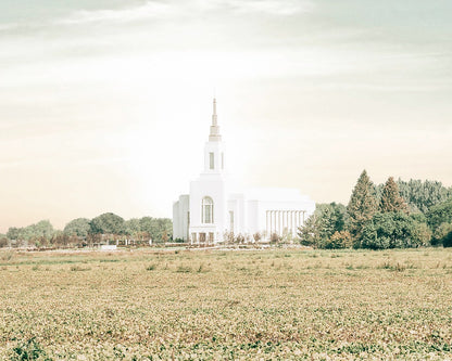 Burley Idaho Immaculate Embrace Pastel