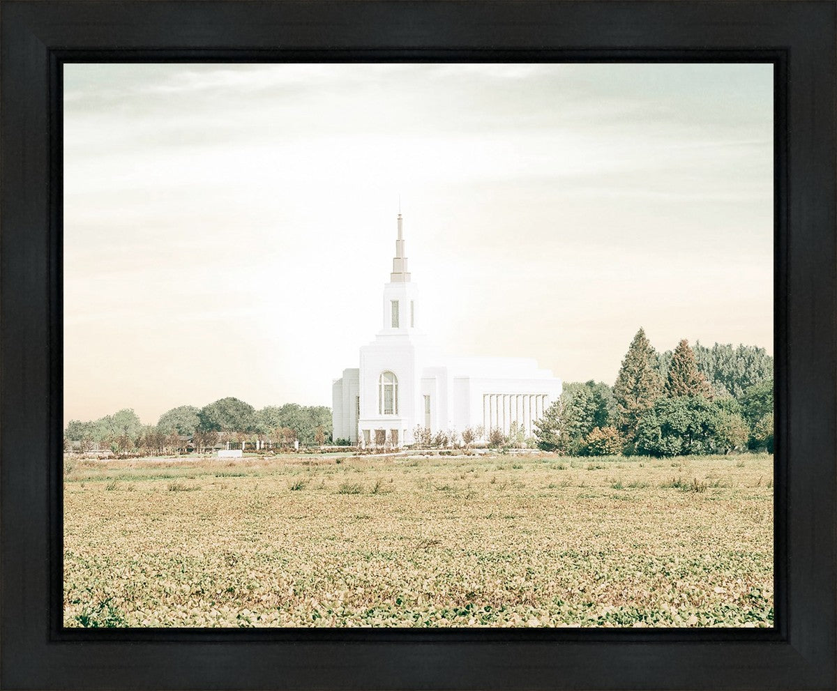 Burley Idaho Immaculate Embrace Pastel