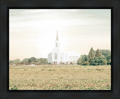 Burley Idaho Immaculate Embrace Pastel