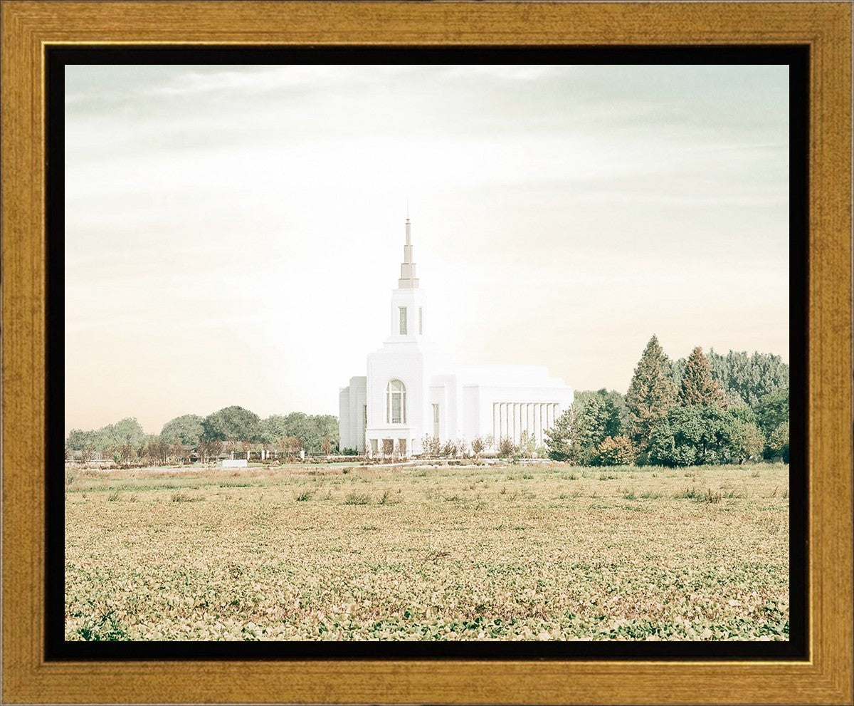 Burley Idaho Immaculate Embrace Pastel