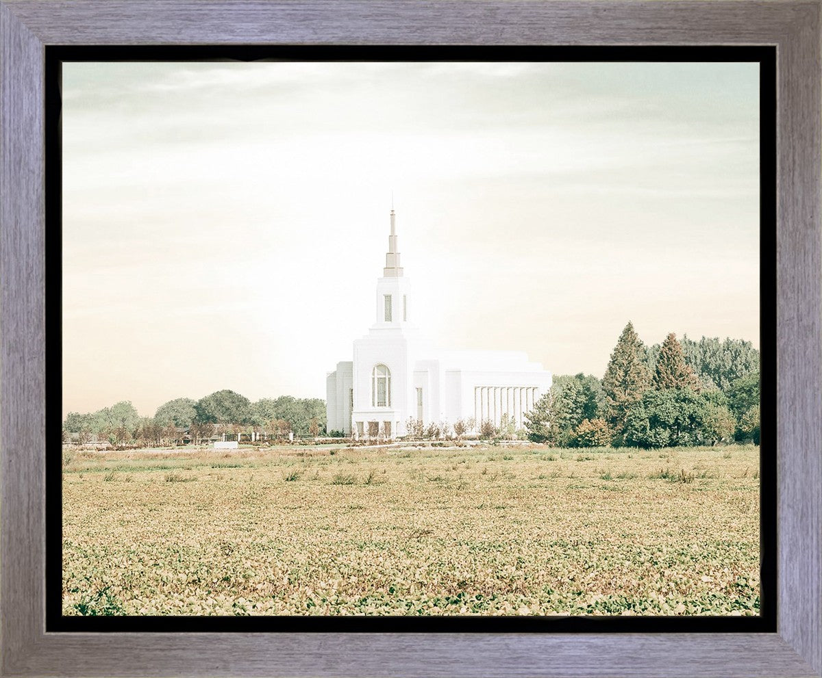 Burley Idaho Immaculate Embrace Pastel