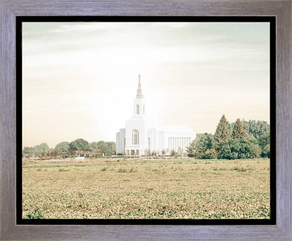 Burley Idaho Immaculate Embrace Pastel