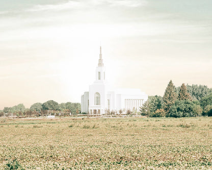 Burley Idaho Immaculate Embrace Pastel