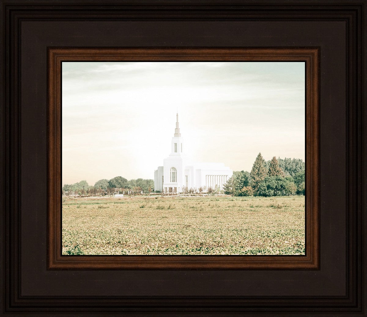 Burley Idaho Immaculate Embrace Pastel