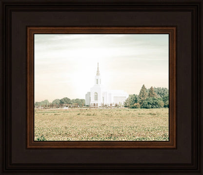 Burley Idaho Immaculate Embrace Pastel