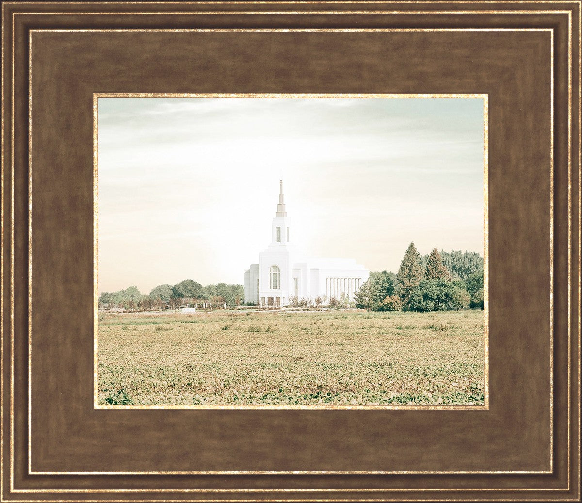 Burley Idaho Immaculate Embrace Pastel