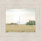 Burley Idaho Immaculate Embrace Pastel