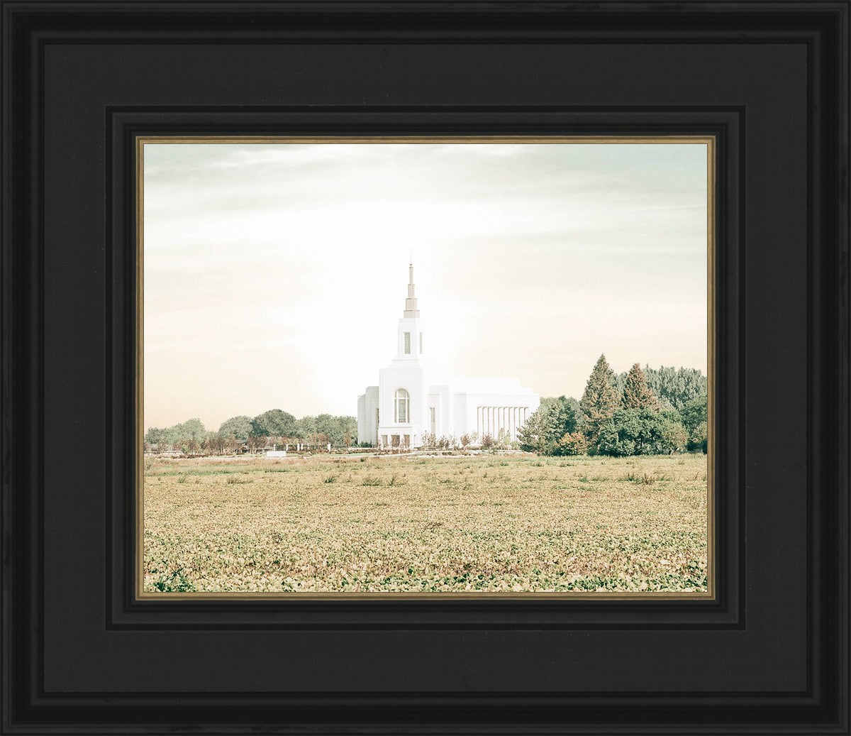 Burley Idaho Immaculate Embrace Pastel