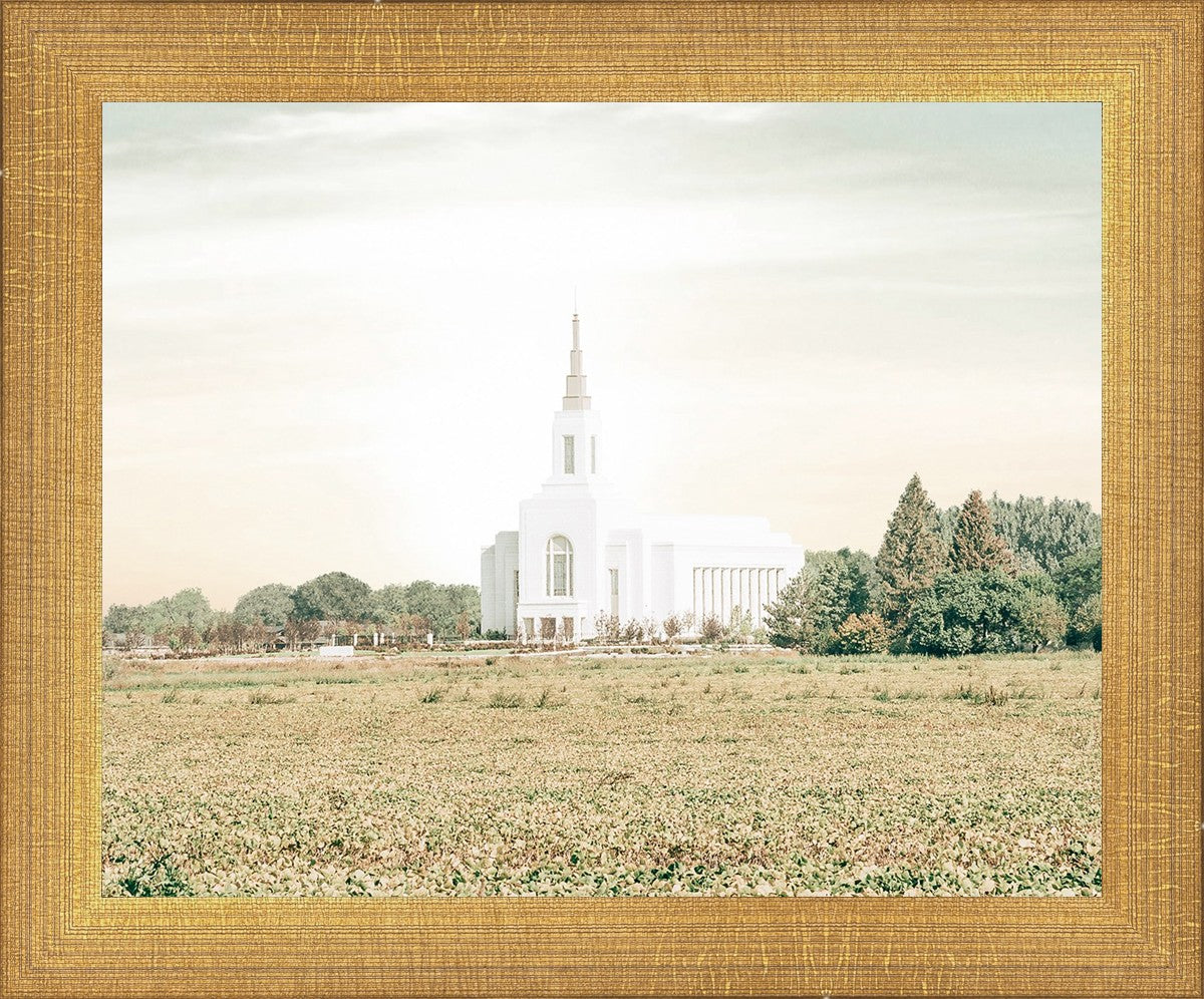 Burley Idaho Immaculate Embrace Pastel