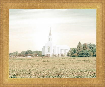 Burley Idaho Immaculate Embrace Pastel