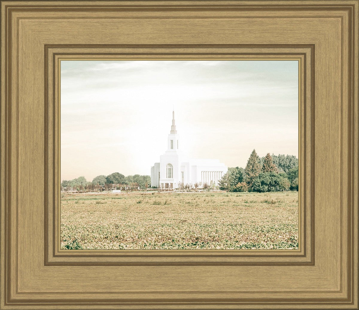 Burley Idaho Immaculate Embrace Pastel