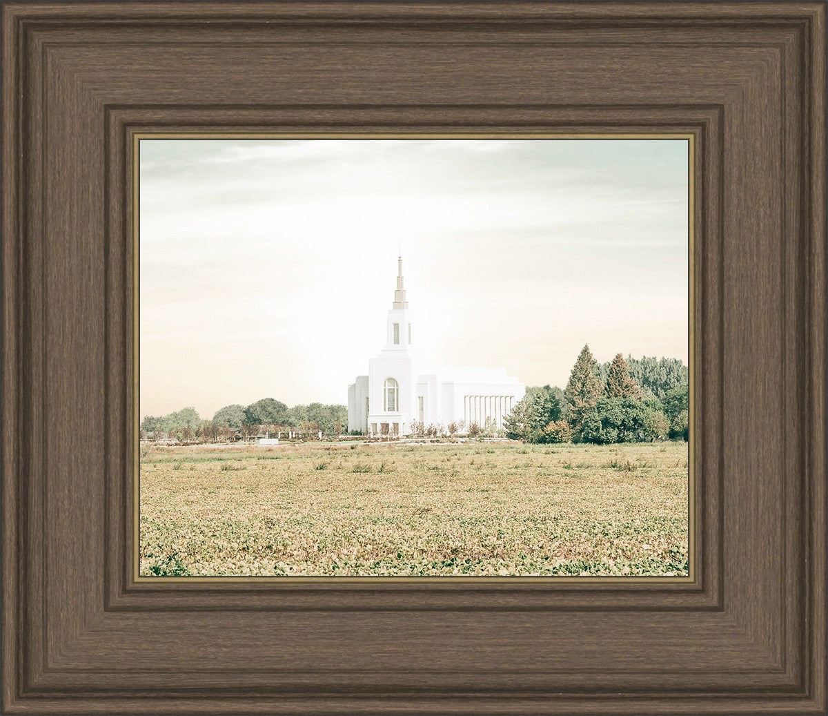 Burley Idaho Immaculate Embrace Pastel