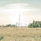 Burley Idaho Immaculate Embrace Pastel