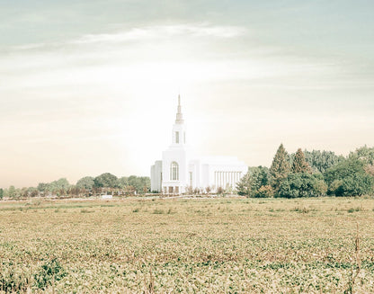 Burley Idaho Immaculate Embrace Pastel