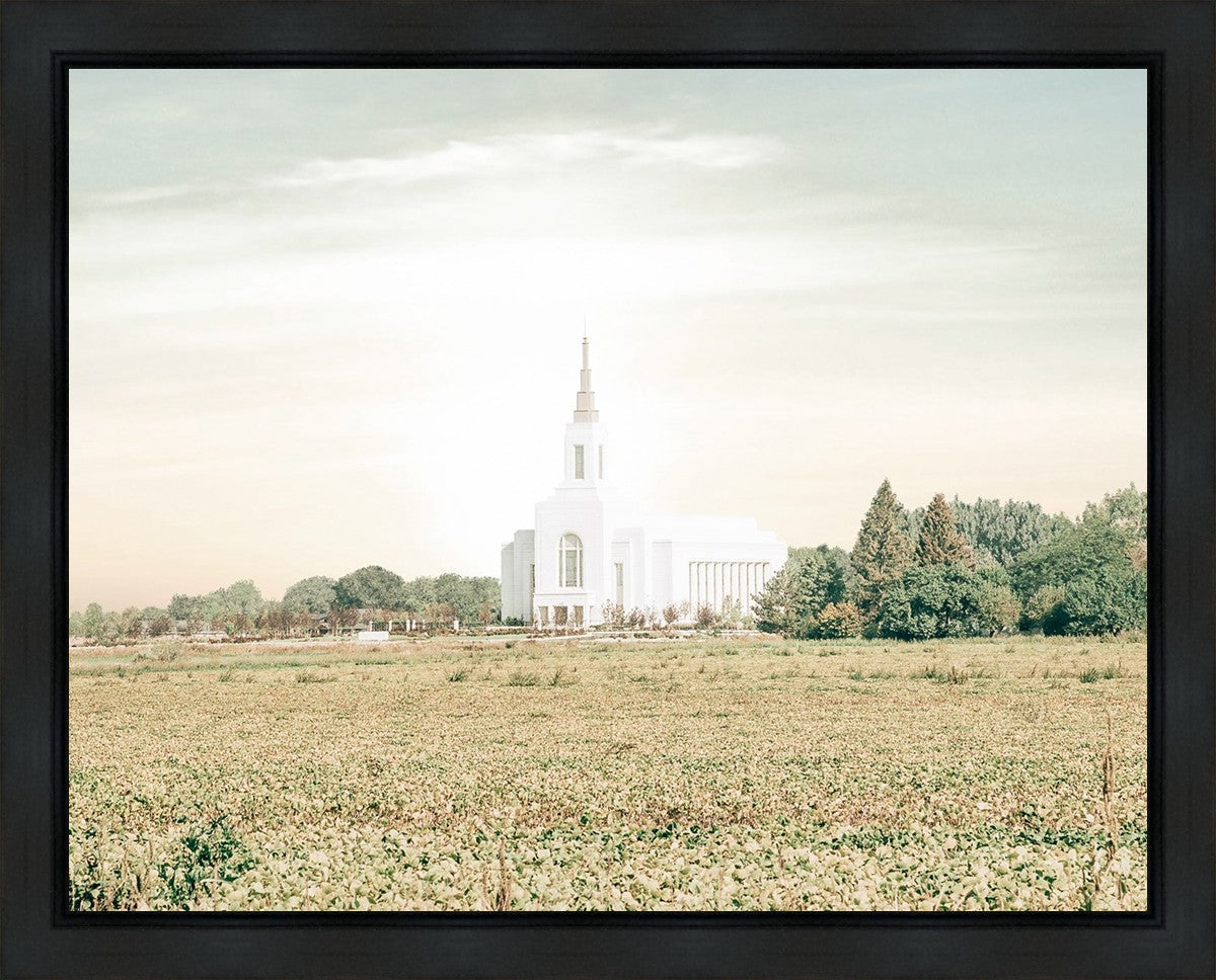 Burley Idaho Immaculate Embrace Pastel