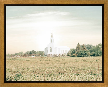 Burley Idaho Immaculate Embrace Pastel