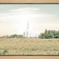 Burley Idaho Immaculate Embrace Pastel