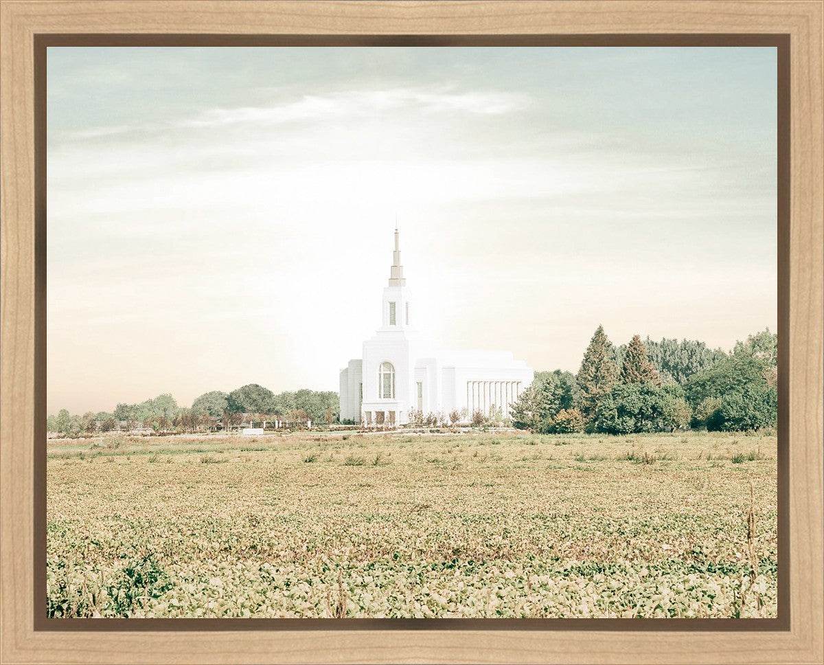 Burley Idaho Immaculate Embrace Pastel