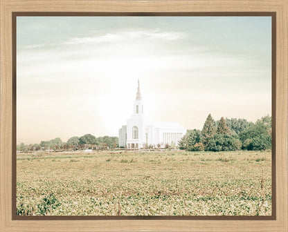 Burley Idaho Immaculate Embrace Pastel