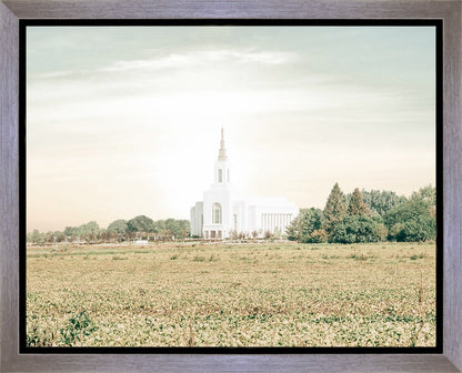 Burley Idaho Immaculate Embrace Pastel