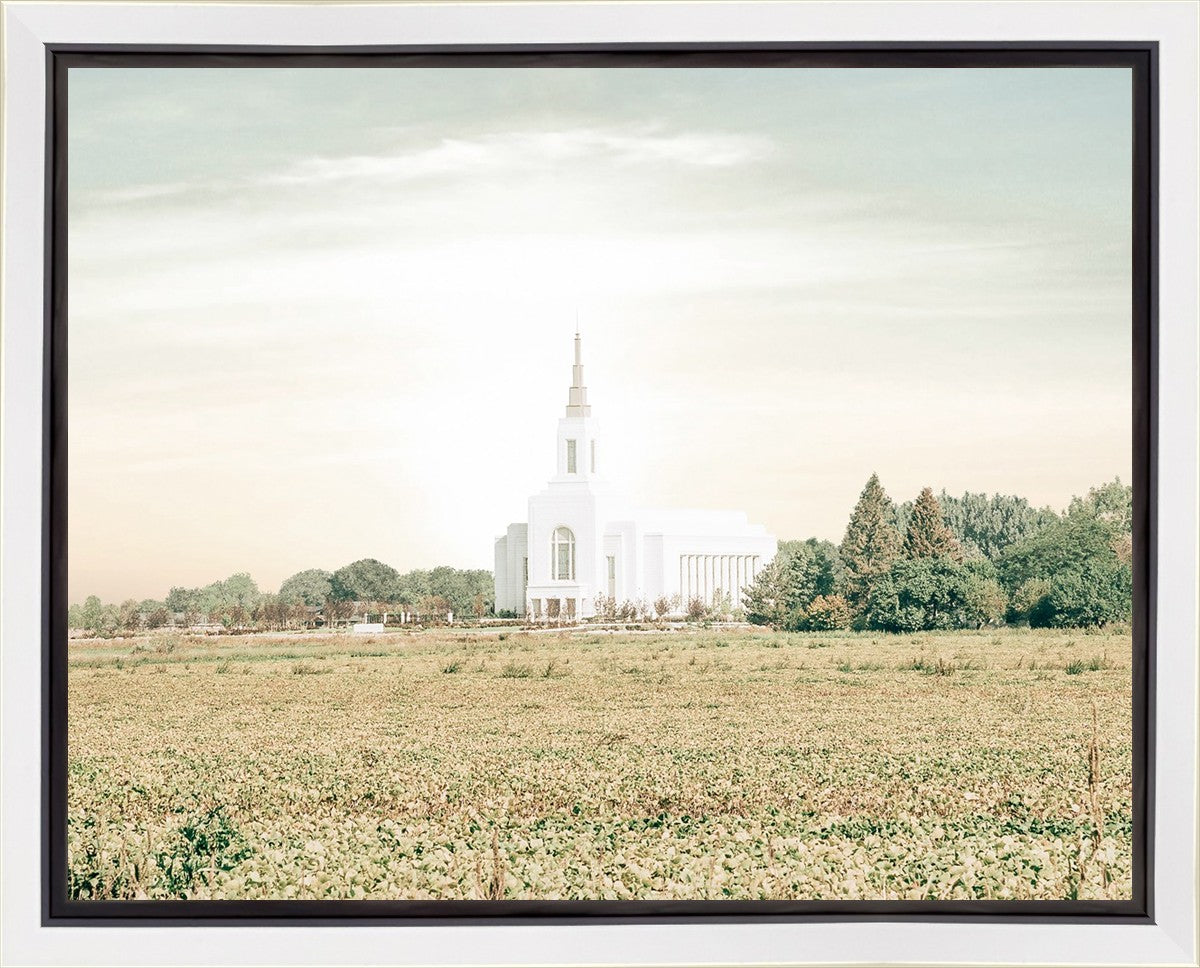 Burley Idaho Immaculate Embrace Pastel