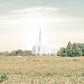 Burley Idaho Immaculate Embrace Pastel