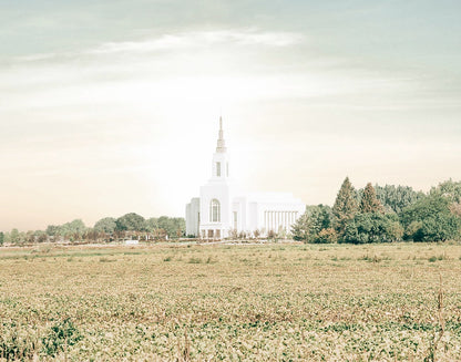 Burley Idaho Immaculate Embrace Pastel