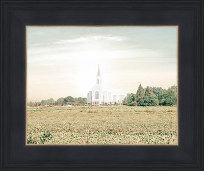 Burley Idaho Immaculate Embrace Pastel