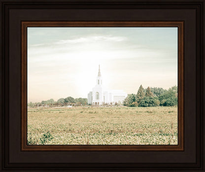 Burley Idaho Immaculate Embrace Pastel