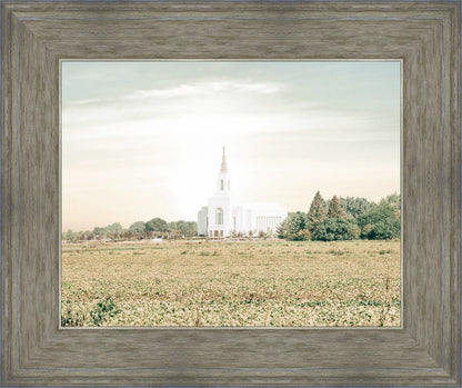 Burley Idaho Immaculate Embrace Pastel