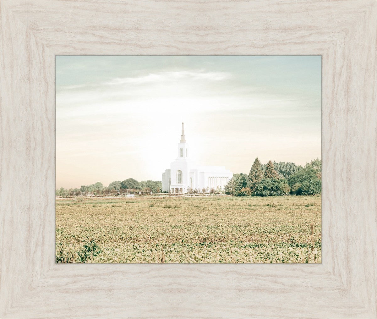 Burley Idaho Immaculate Embrace Pastel