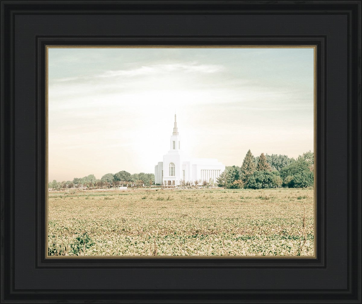 Burley Idaho Immaculate Embrace Pastel