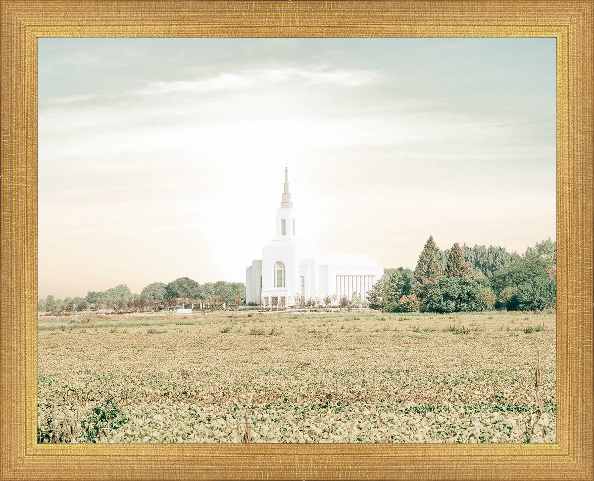 Burley Idaho Immaculate Embrace Pastel