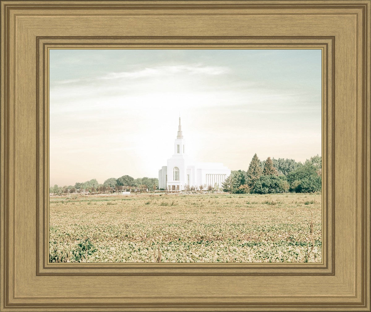 Burley Idaho Immaculate Embrace Pastel