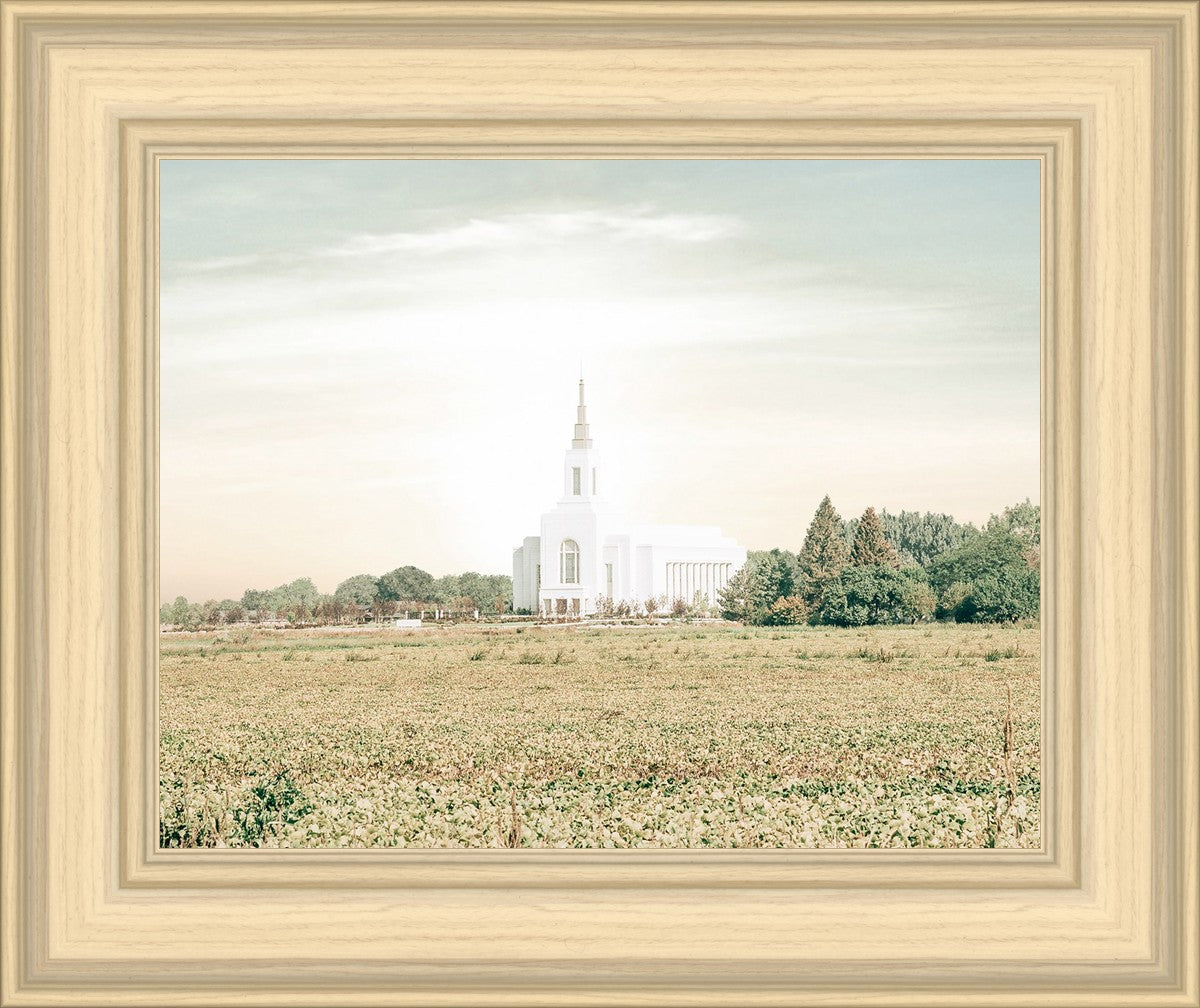 Burley Idaho Immaculate Embrace Pastel