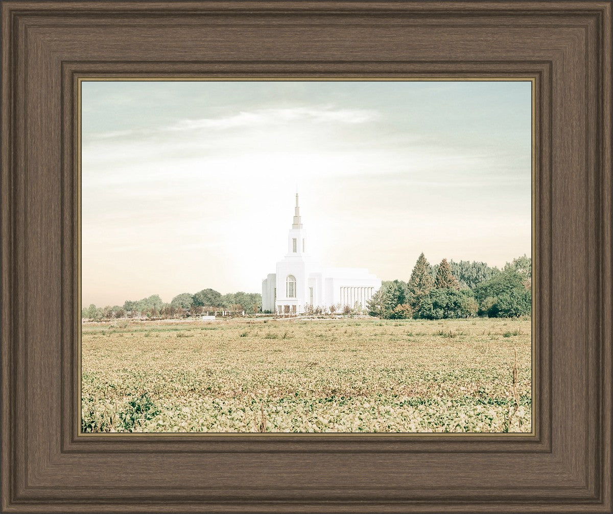 Burley Idaho Immaculate Embrace Pastel