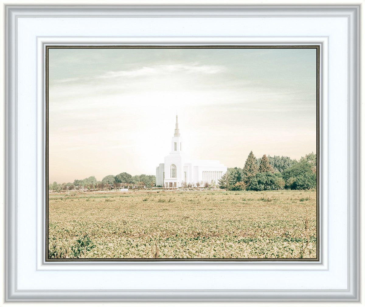 Burley Idaho Immaculate Embrace Pastel