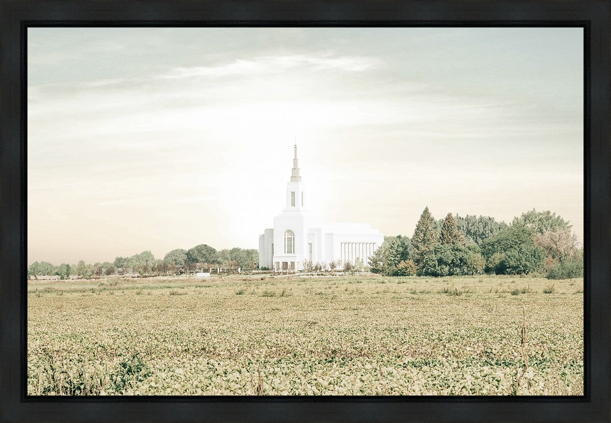 Burley Idaho Immaculate Embrace Pastel