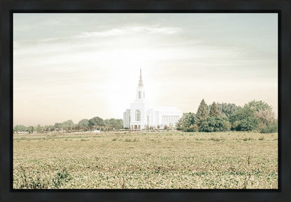 Burley Idaho Immaculate Embrace Pastel