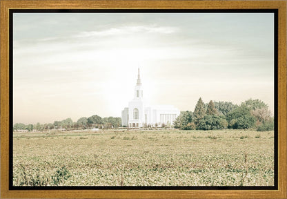 Burley Idaho Immaculate Embrace Pastel