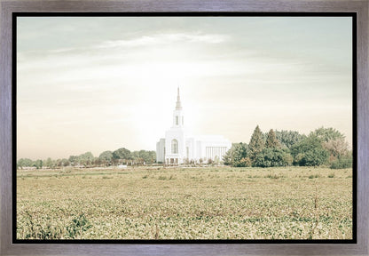 Burley Idaho Immaculate Embrace Pastel