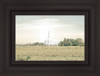 Burley Idaho Immaculate Embrace Pastel